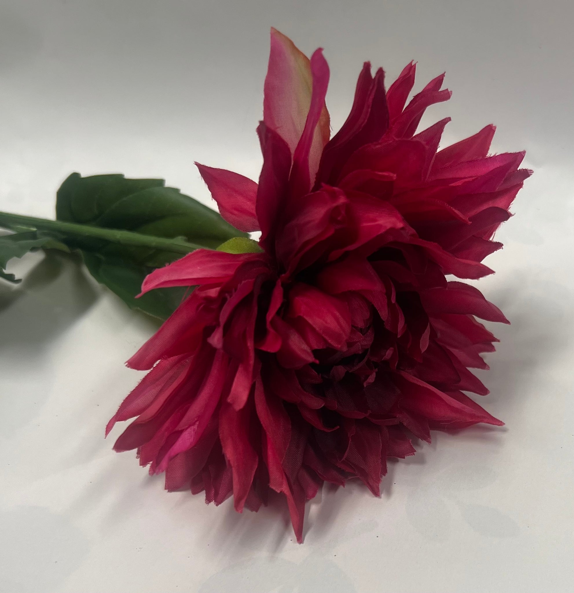 Garden Dahlia Spray -Beauty