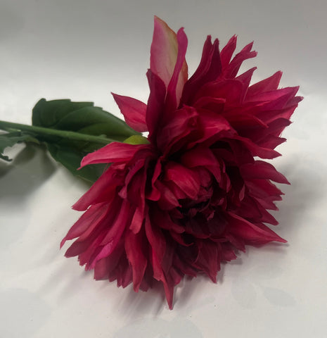 Garden Dahlia Spray -Beauty