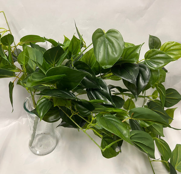 UV Protected Philo Bush