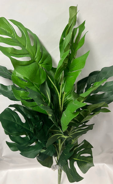 Split Philo Plant x3