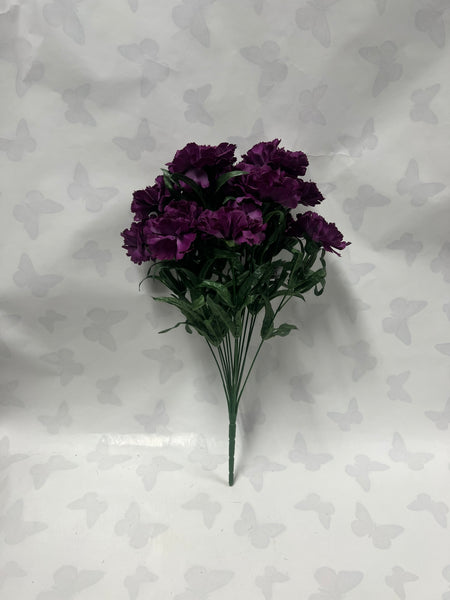 Carnation Bush -Plum