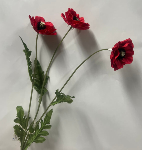 Japanese Anemone -Red
