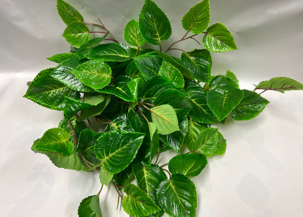 Coleus Bush -UV Protected