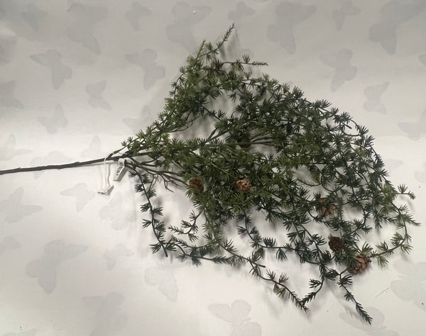 Weeping Ming Pine