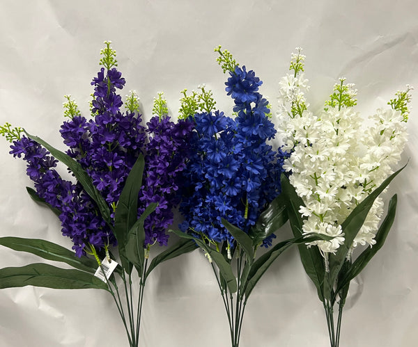 Delphinium Bush