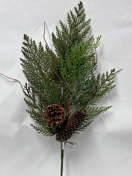 Cedar/ Cone Spray