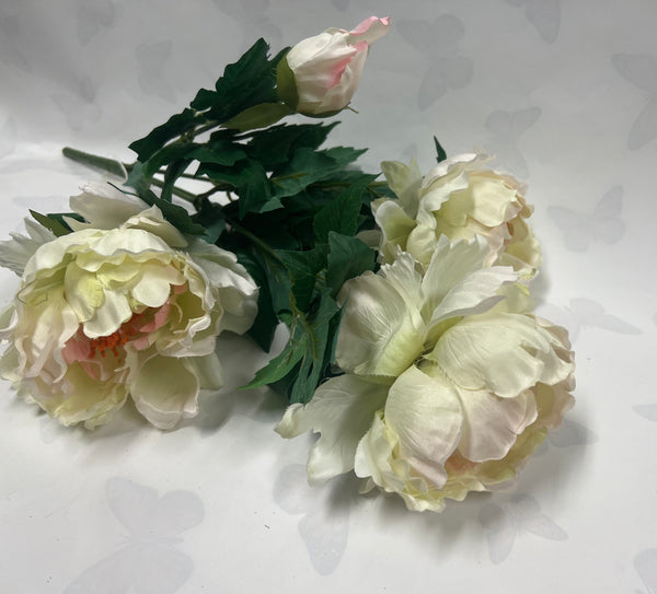 French Peony Bush -Bridal White