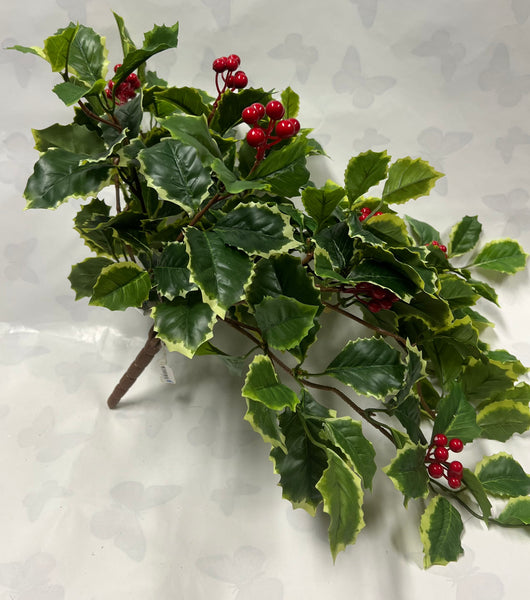Hanging Holly Bush With Berries
