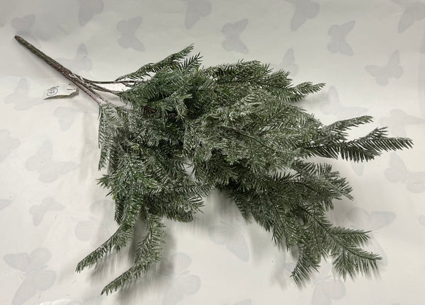 Iced Fir Bush