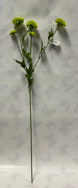 Pom-Pom Mum Spray -Green