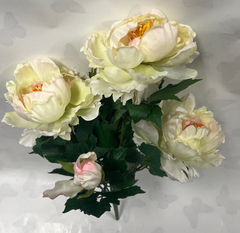 French Peony Bush -Bridal White