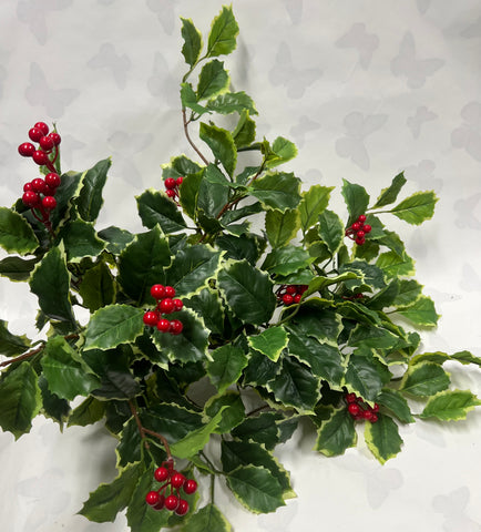 Hanging Holly Bush With Berries