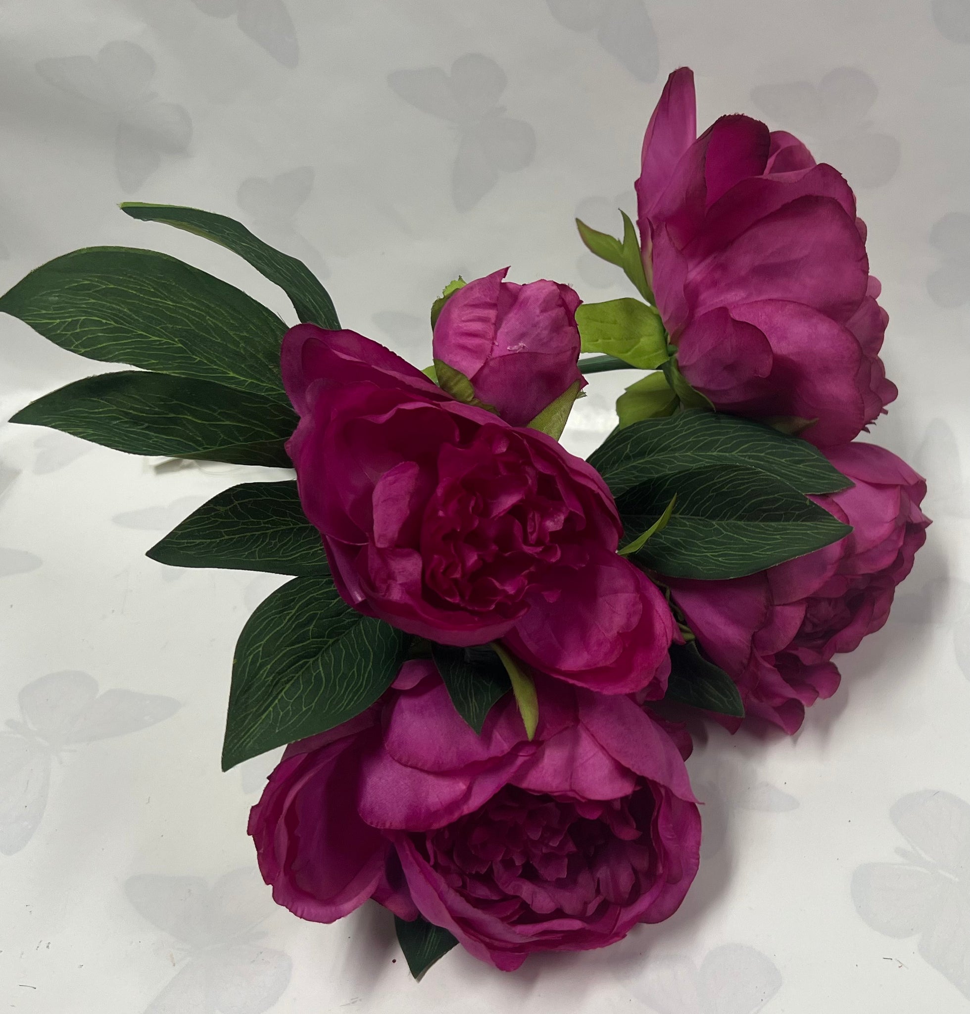 Peony Bush -Purple