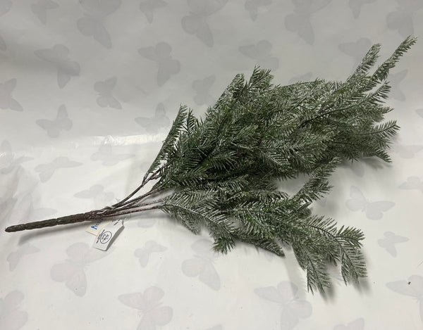 Iced Fir Bush