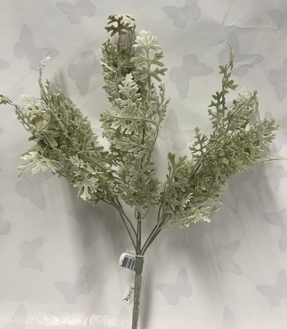 Dusty Miller Bush