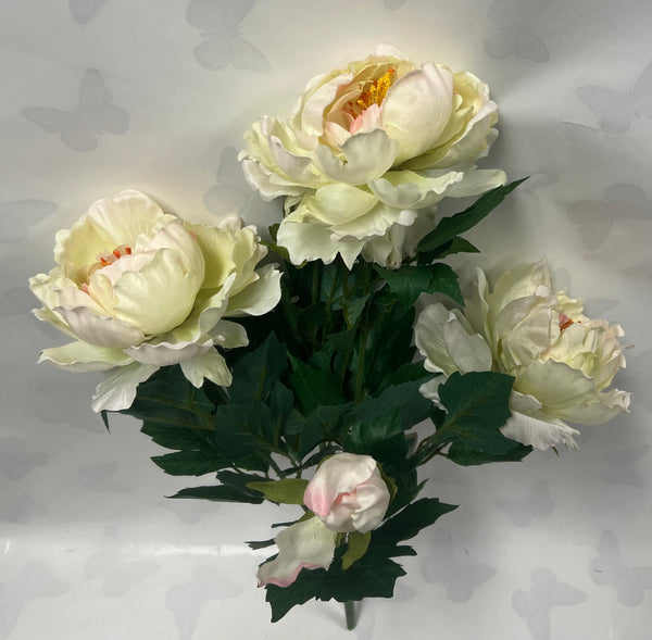 French Peony Bush -Bridal White