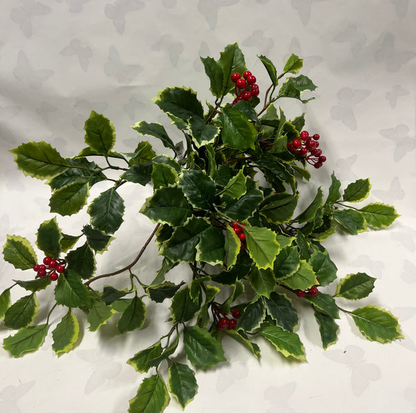 Hanging Holly Bush With Berries