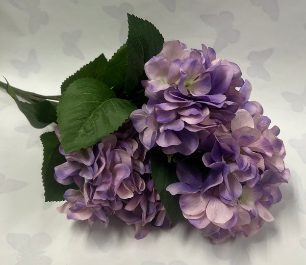 Hydrangea Bush- Lavender