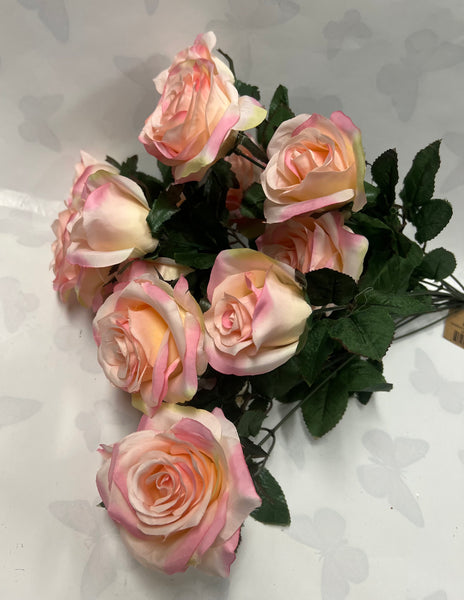 Grandiflora Rose Bush -Smooth Pink