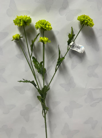 Pom-Pom Mum Spray -Green