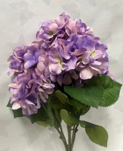 Hydrangea Bush- Lavender