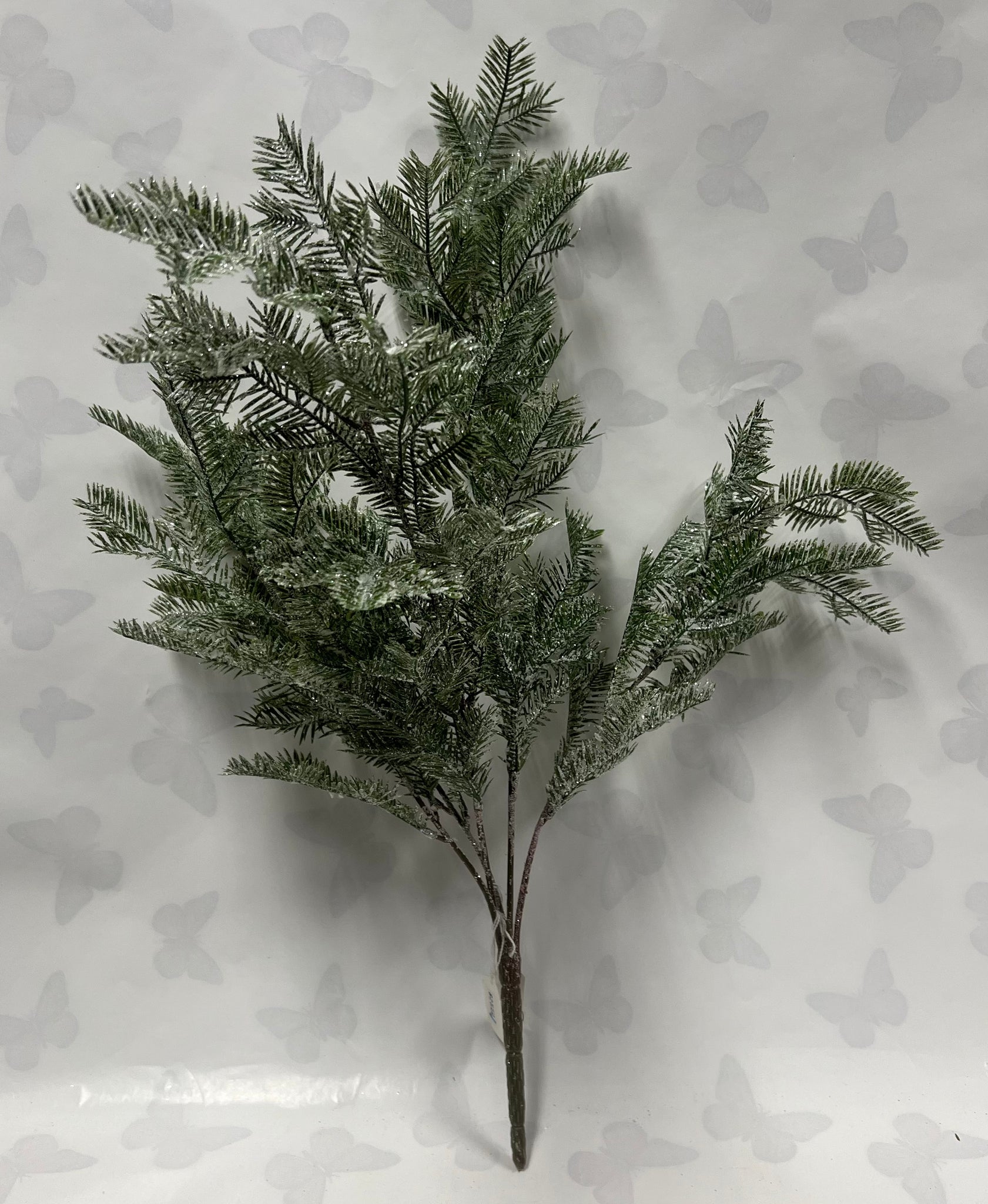 Iced Fir Bush