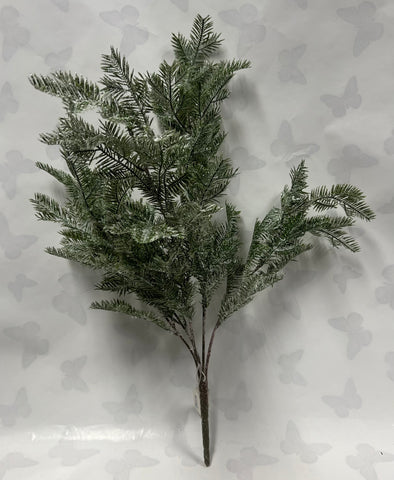 Iced Fir Bush