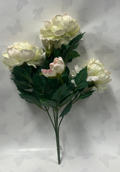 French Peony Bush -Bridal White