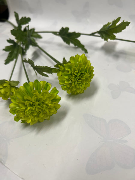 Pom-Pom Mum Spray -Green