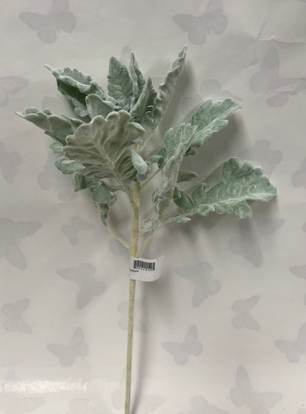 Dusty Miller Spray
