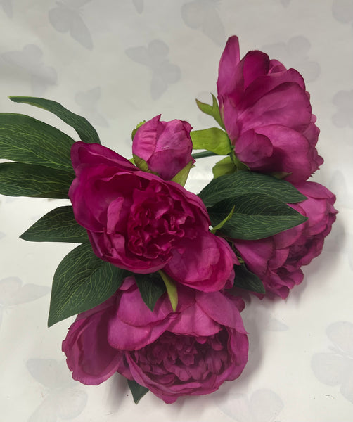 Peony Bush -Purple