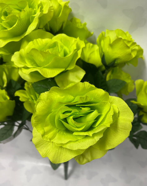 Lime Green Rose Bush