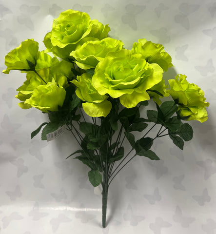 Lime Green Rose Bush