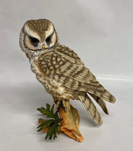 Country Artists -Hawk Owl With Yew