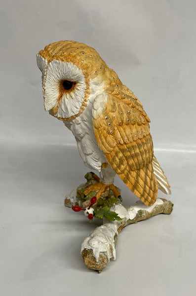 Owl On Snowy Branch