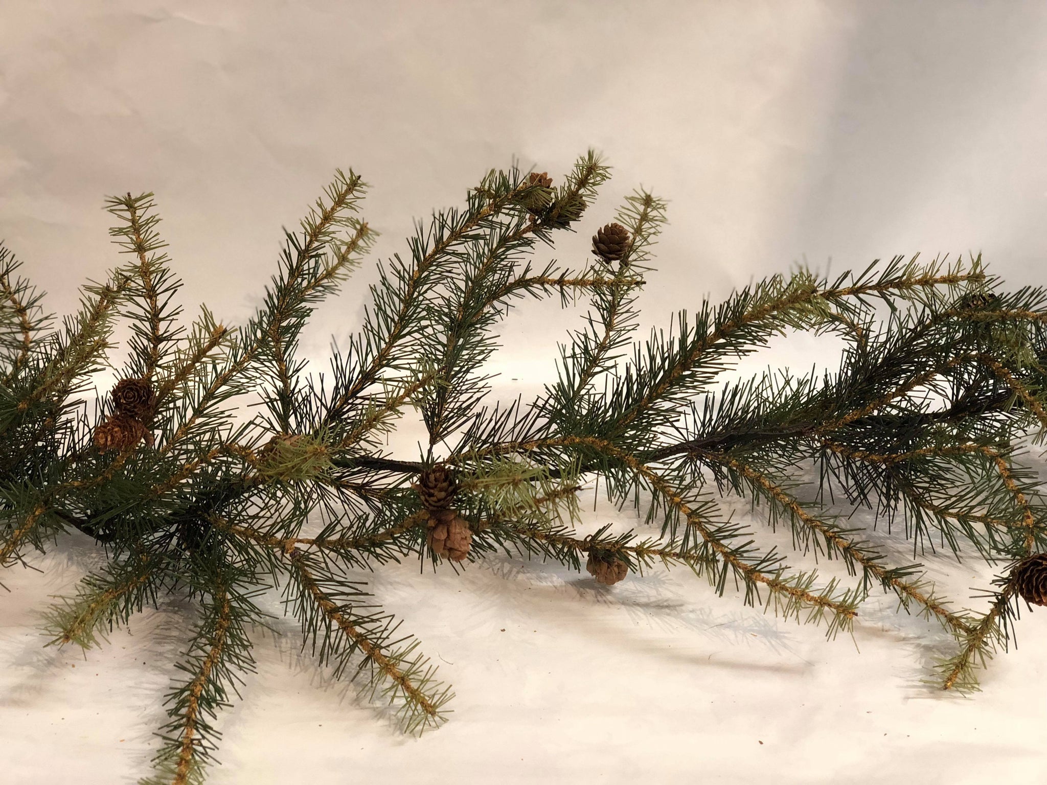 Short needle garland