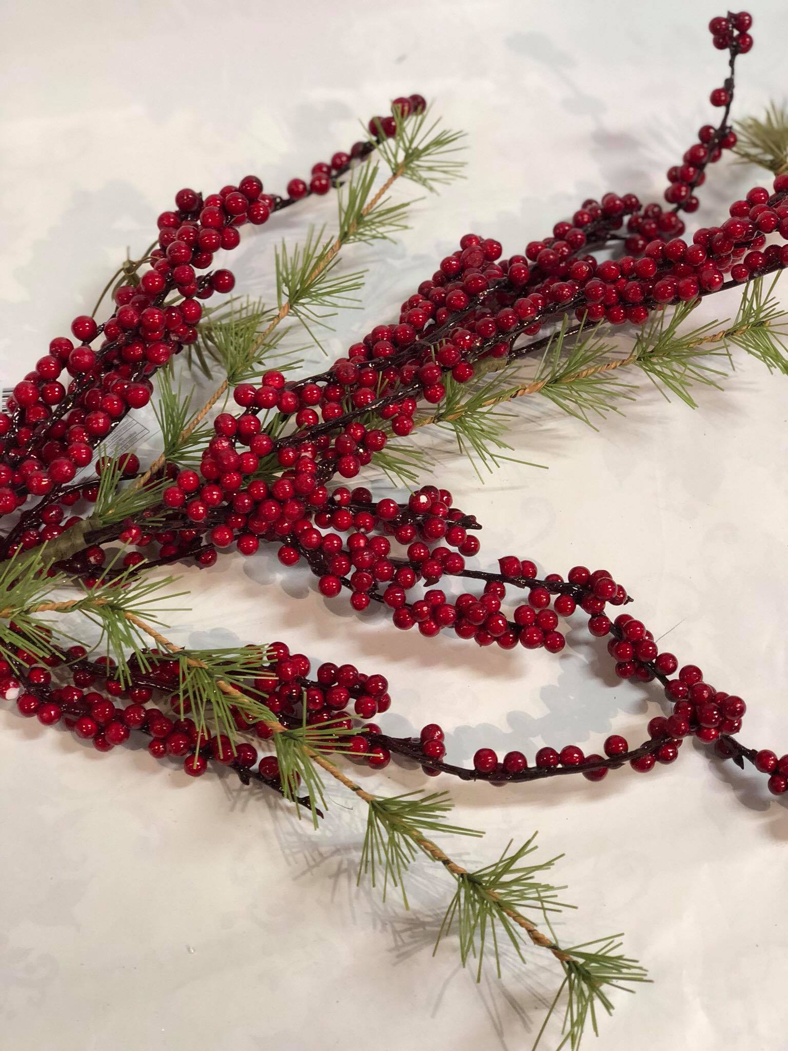 Red "Outdoor" berry stem with greens
