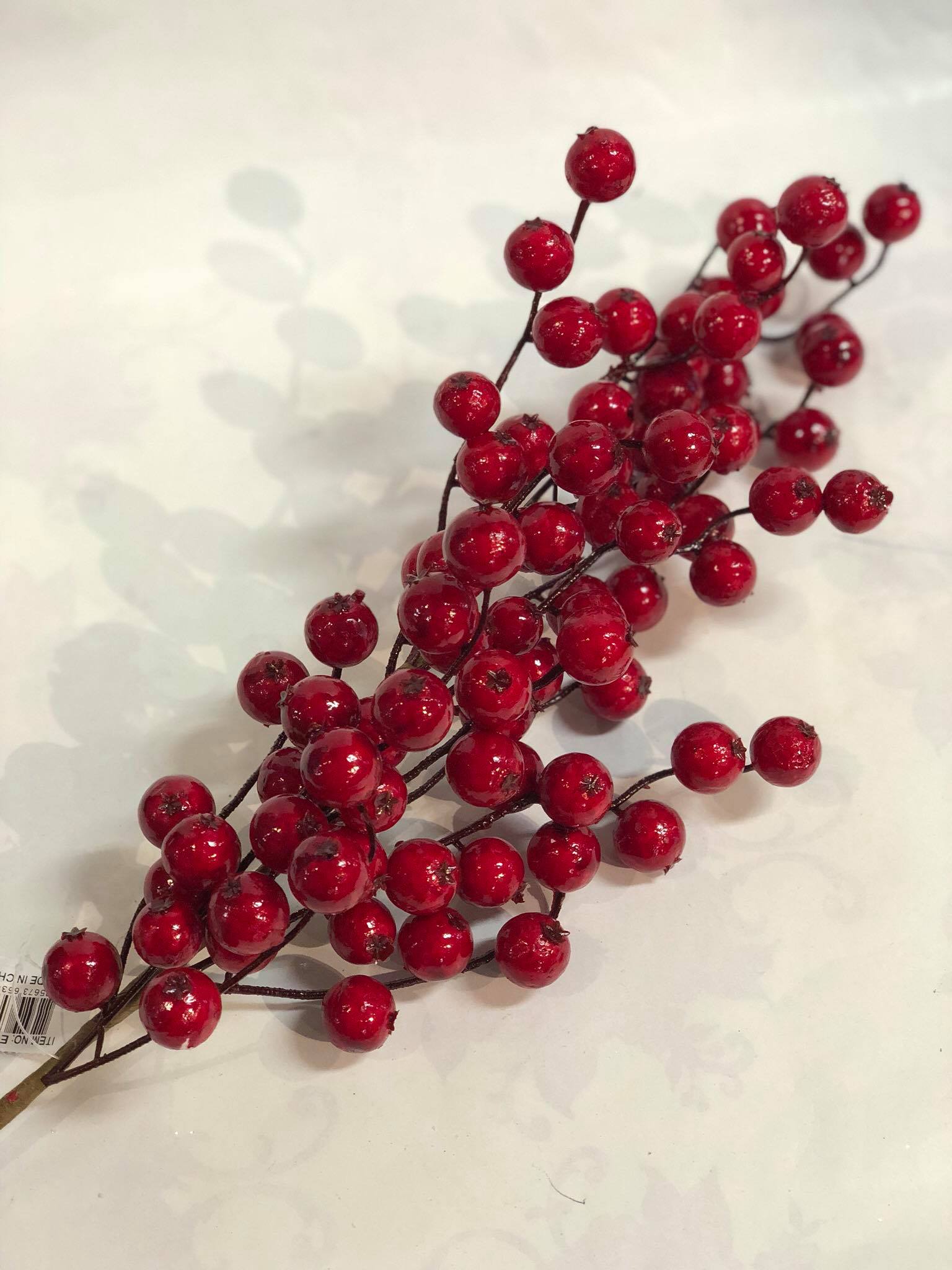 Water proof large red berries