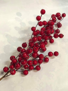 Water proof large red berries
