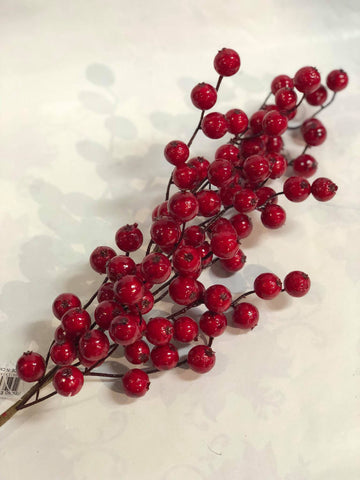 Water proof large red berries