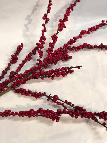 Red "outdoor" berry stem