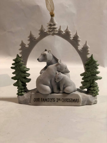 Our Family's First Christmas Ornament