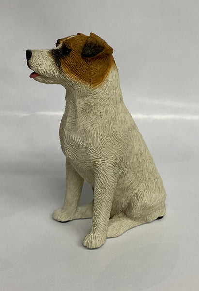 Sandicast- Jack Russell