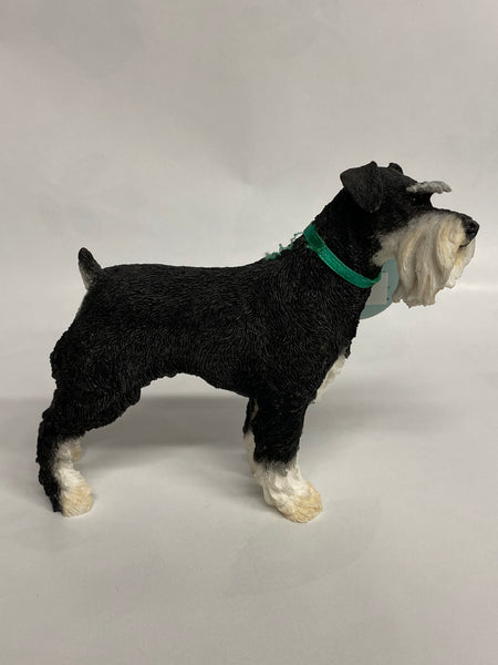 Country Artists -Schnauzer