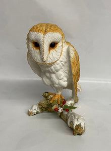 Owl On Snowy Branch