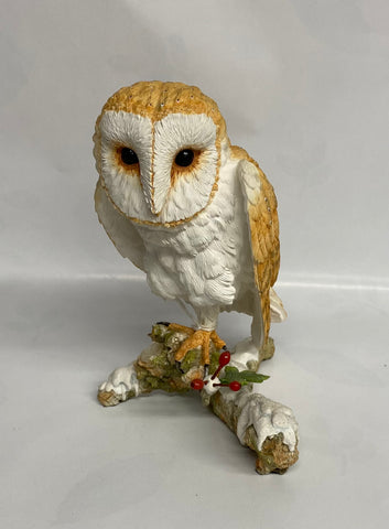 Owl On Snowy Branch
