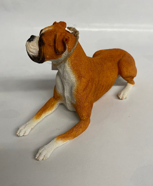 Country Artists -Boxer Lying