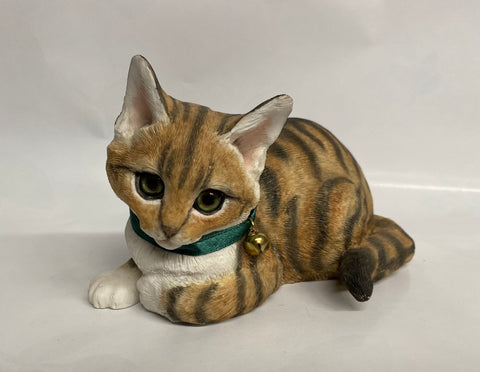 Country Artists -Kitten Lying Tabby