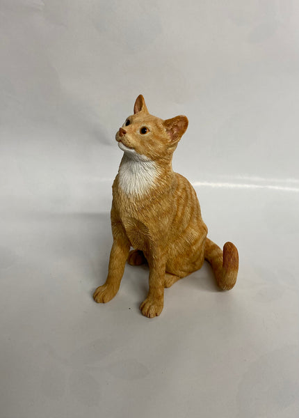 Orange Cat Sitting