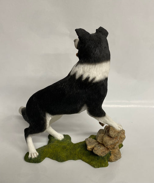 Country Artists -Border Collie Looking Over Wall